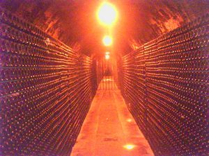 Bodega Marquis de Riscal, Rioja, Spain